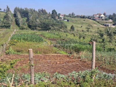 1 Ac Land in Nyasare